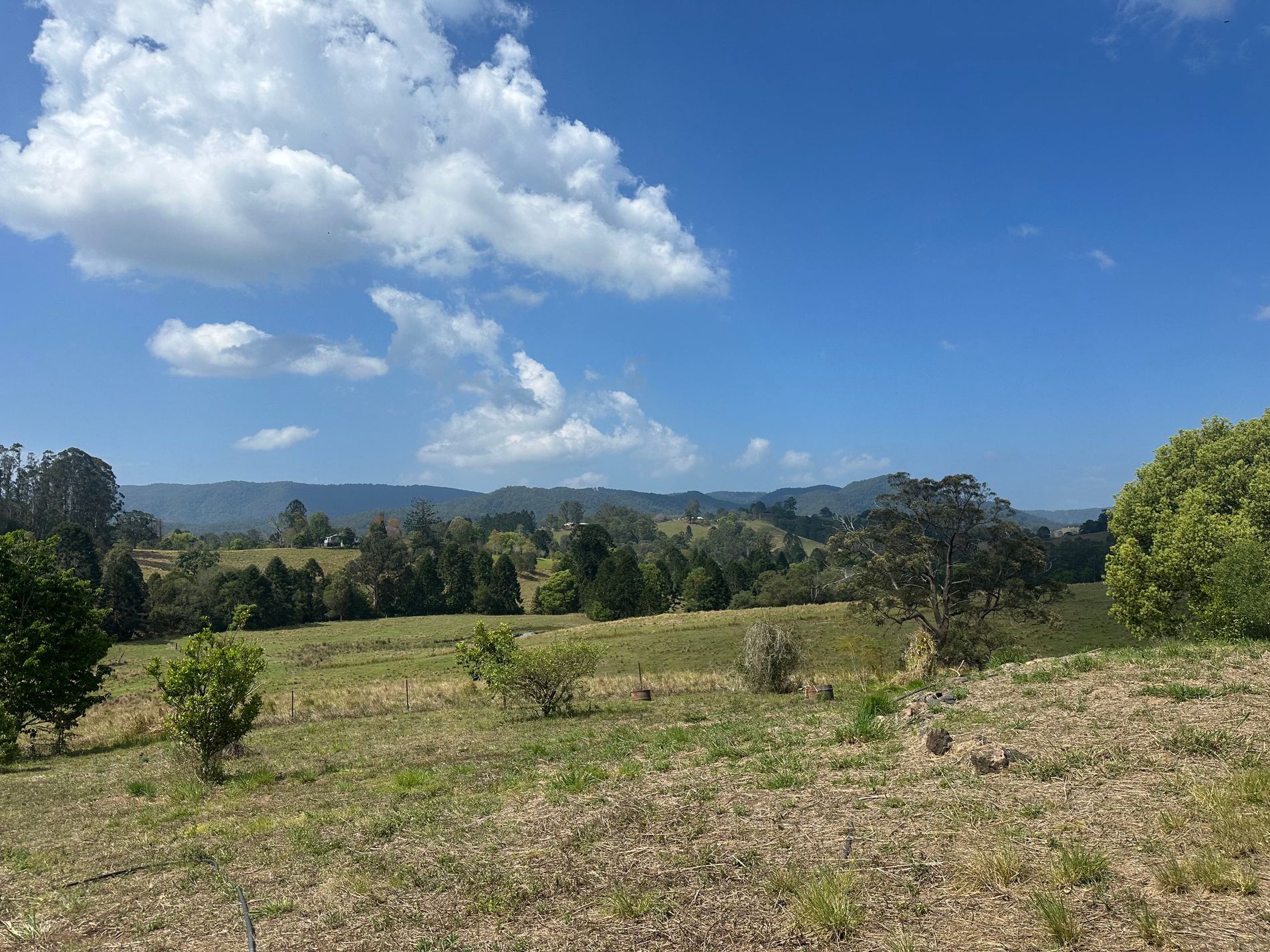 147 Kidaman Creek Road, Kidaman Creek
