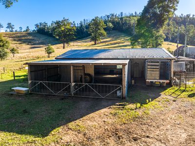 2667 Pappinbarra Road, Pappinbarra