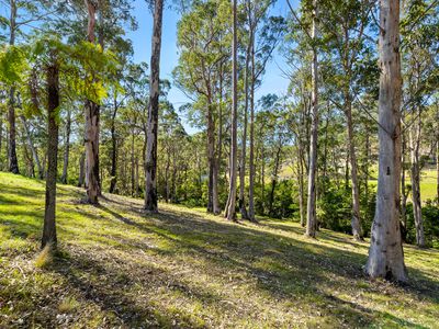 Lot 19, Worthy Drive, Malua Bay