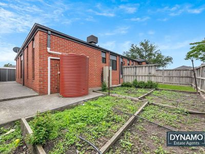 5 Tamarin streeet, Craigieburn