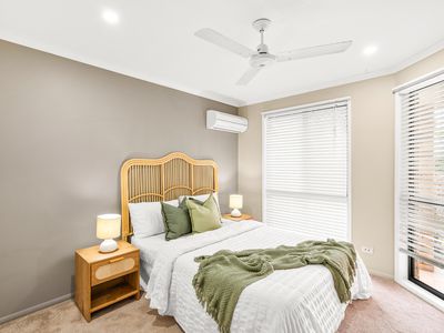 10 Vassallo Drive, Glenella