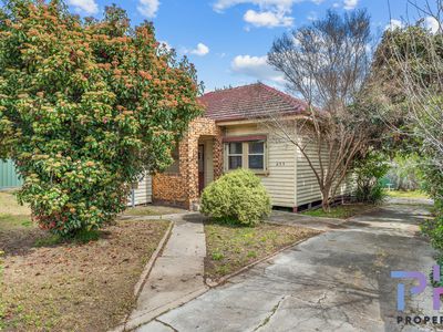 459 Napier Street, White Hills