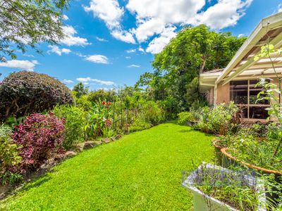 17 Golden Penda Place, Mullumbimby