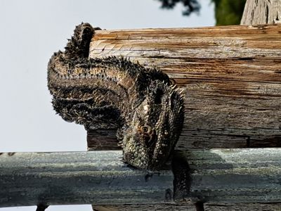 9635 SOUTHERN PORTS HIGHWAY, Beachport