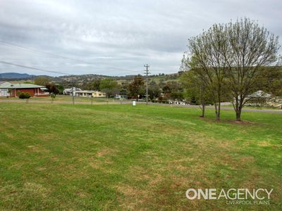 44 Learmonth Street, Willow Tree