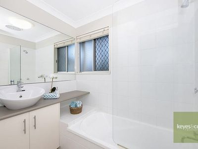 8 Melaleuca Street, Annandale