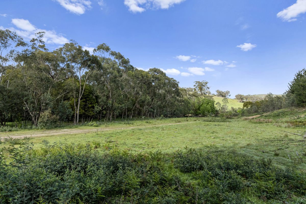 259 Hells Hole Creek Road, Bonnie Doon