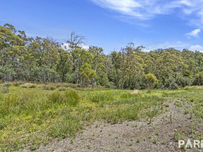 2235 East Tamar Highway, Mount Direction