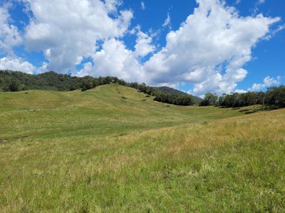 472 Neringla Road, Neringla