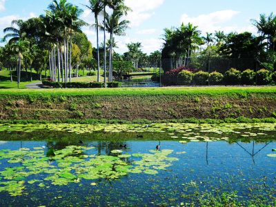 47 / 73 Darlington Drive, Banora Point