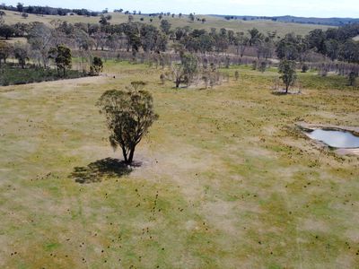 92 Rayma Road, Moormbool West