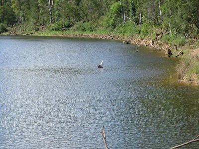 Lot 1 Lot 1 Radiata Rd, Kangaroo Valley