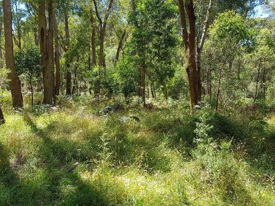 . Bullhead Road, Mitta Mitta
