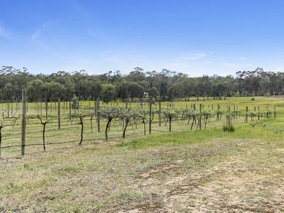 4406 McIvor Highway, Heathcote