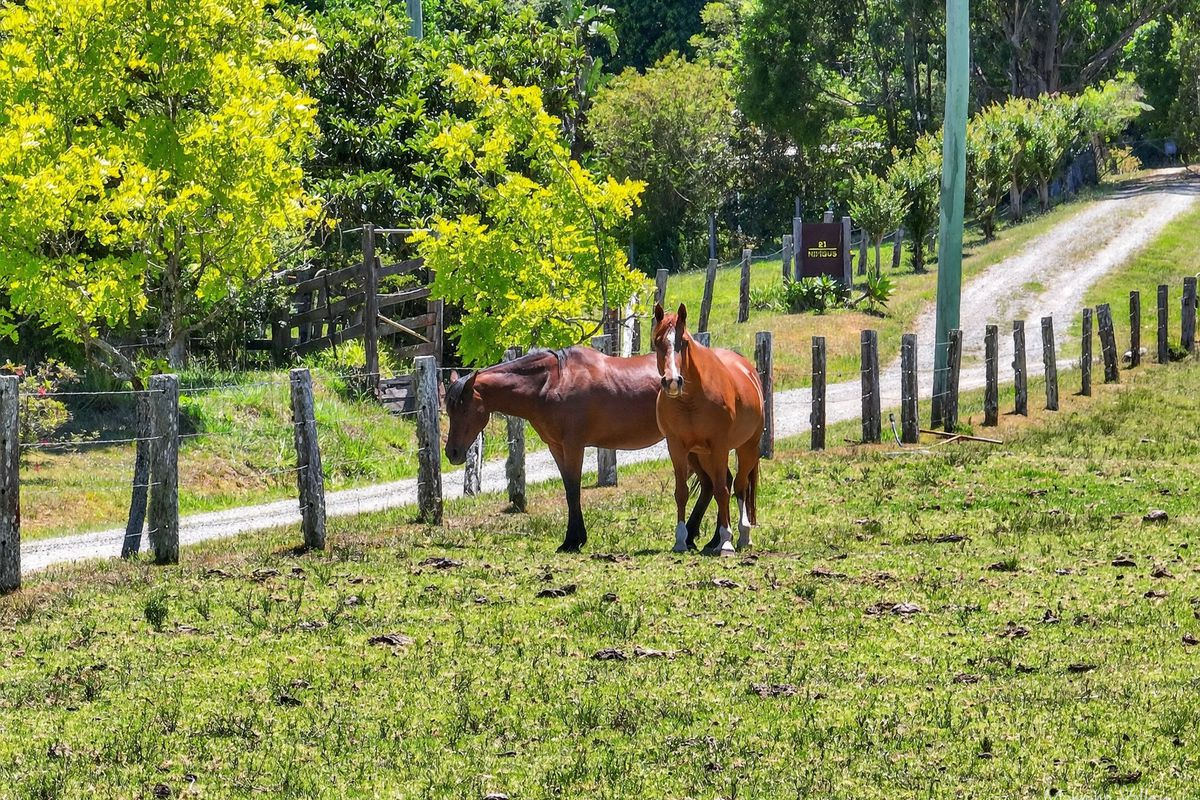 26 Cherry Tree Lane, Waitui