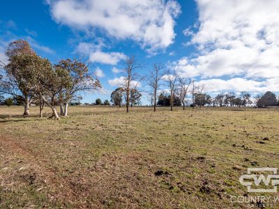 111 Llangothlin Road, Guyra