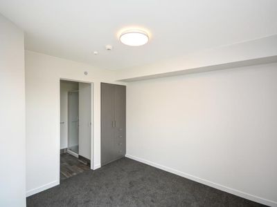 709C Great King Street, North Dunedin