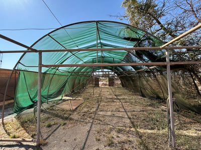 34 Pinnacles Steet, Wedgefield