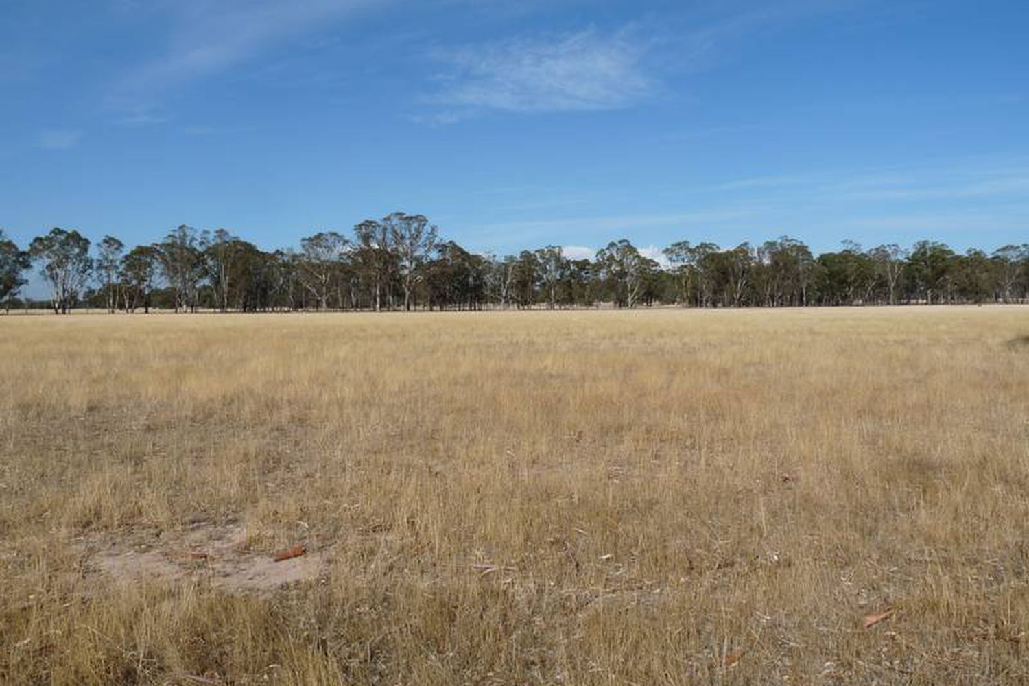 343 Dunns Road, Wonwondah East