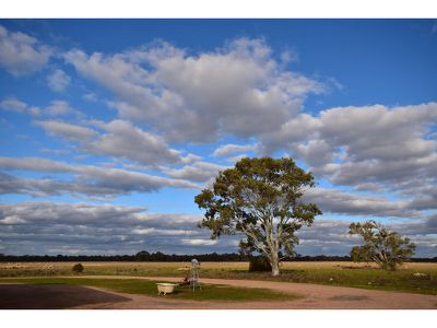 190 Battans Road, Sedan