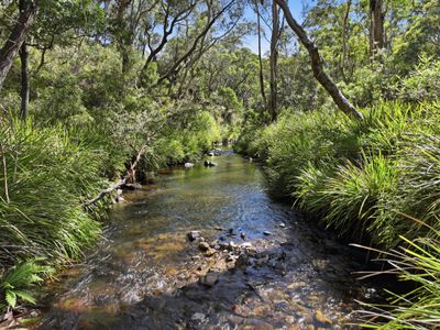 329 Charleys Forest Road, Braidwood