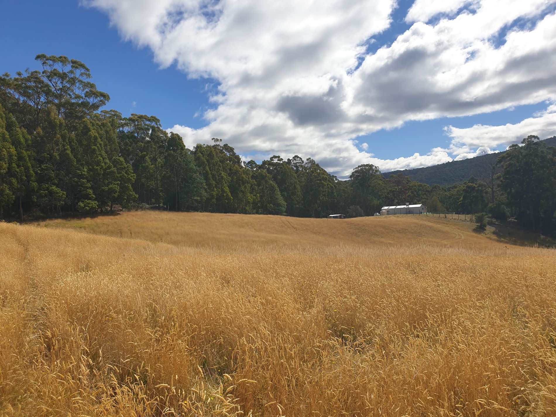 Lots 1 & 3 Plummers Road, Southport