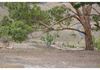 348 Carbine Road, Forest Reefs