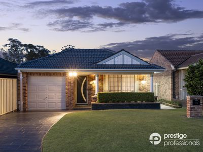 16 Pedder Court, Wattle Grove