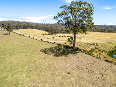 "Top of the Hill" 475 Saltwater River Road, Saltwater River