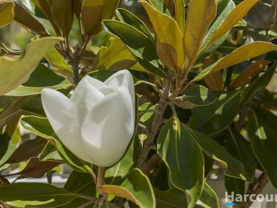 2 Sunny Close, Yanchep