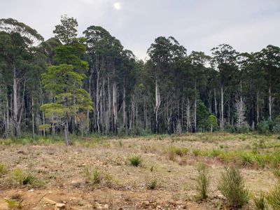 Lot 3 Costains Road, Geeveston