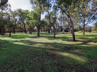 17 Norton Avenue, Coodanup
