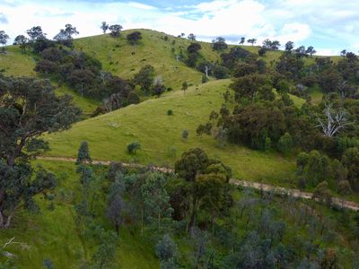 621 U T Creek Road, Alexandra
