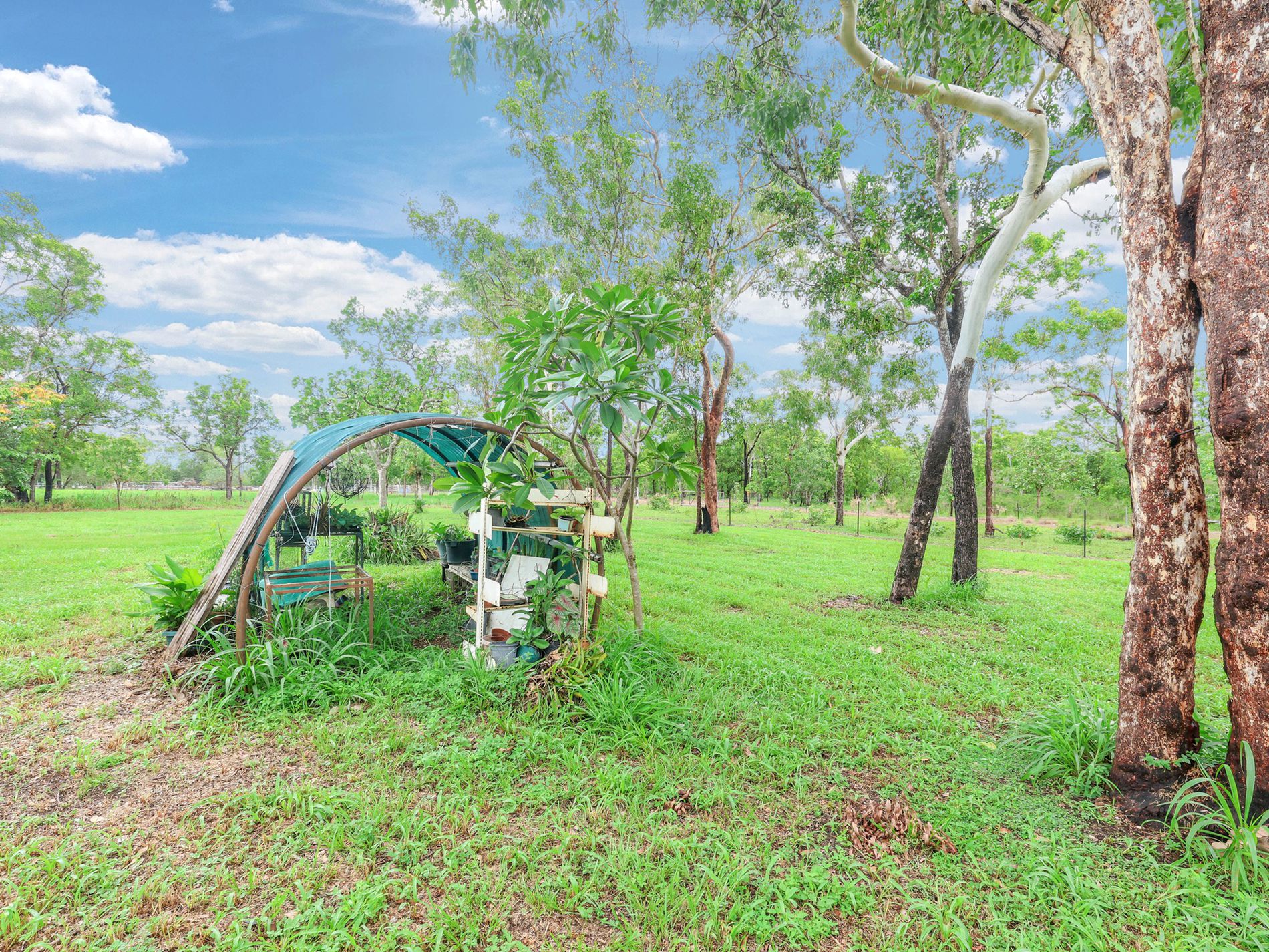 609 Reedbeds Road, Darwin River
