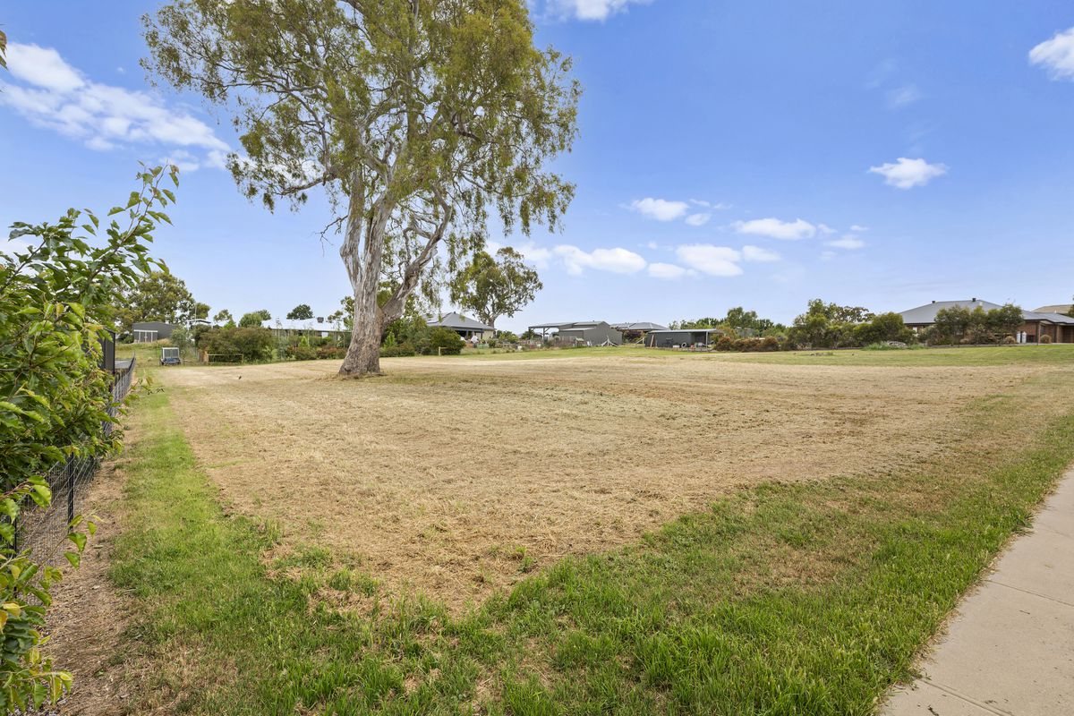 33 Donovans Way, Mansfield