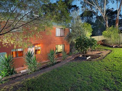3 VISTA COURT, Bellbridge