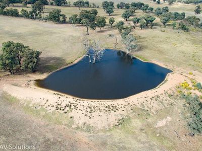 Parkes