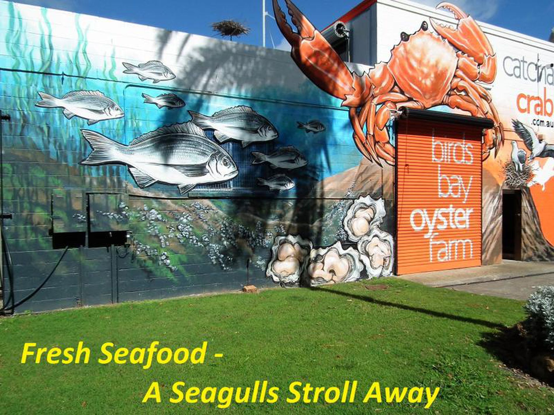 1 / 3 Pelican Place, Tweed Heads West