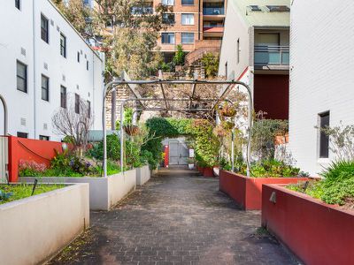 10 / 26 McElhone Street, Woolloomooloo