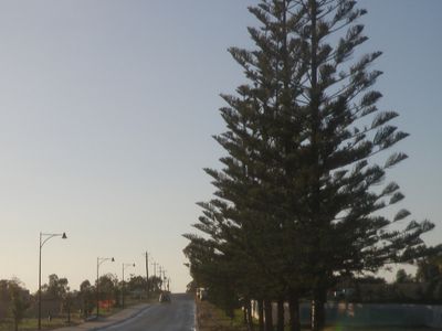 Lot 515 Clivia Heights, Sinagra