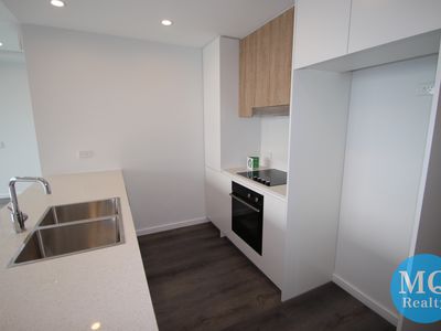309 / 11 RAPHAEL STREET, Lidcombe