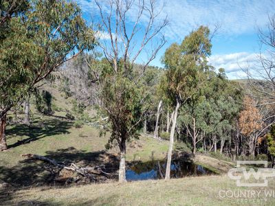Lot 21 Halls Creek Road, Bendemeer