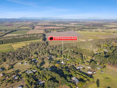 22B Palomino Avenue, Tolga