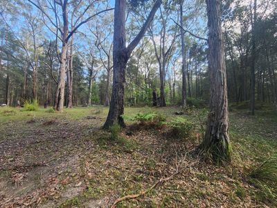Lot 8, Pelican Road, St Georges Basin