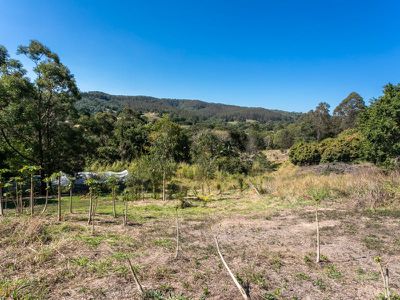 376 Middle Creek Road, Federal