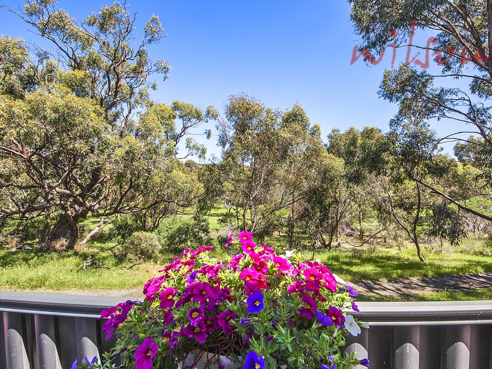 6 Lacebark Court, Flagstaff Hill