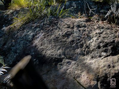 Lot 9 & Lot 10, 2824 Big Jims Reach, Hawkesbury River, Bar Point