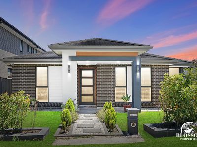 36 Marsdenia Avenue, Marsden Park