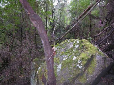 Bakers Road, Raminea