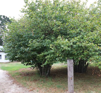 12 Moores Road, Caveat